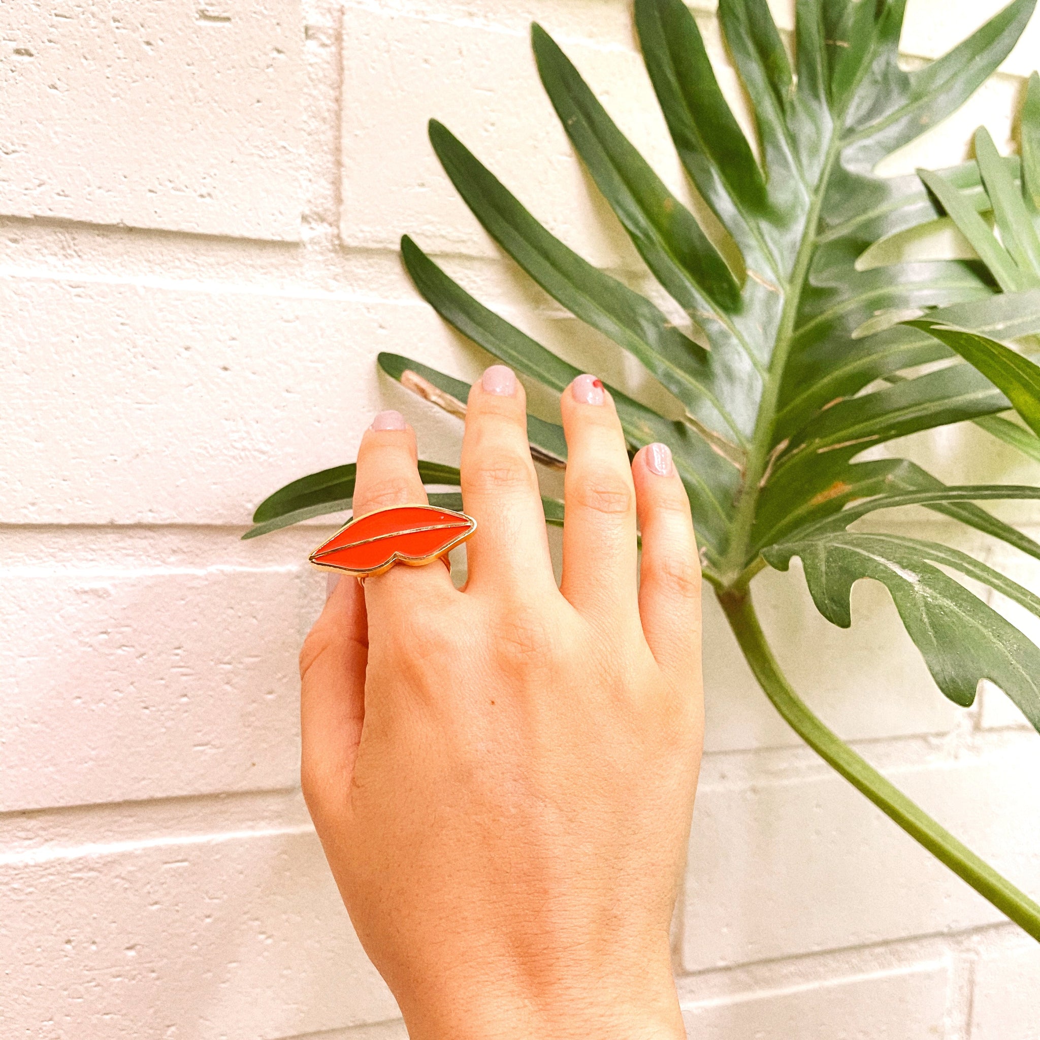 Anillo boca grande